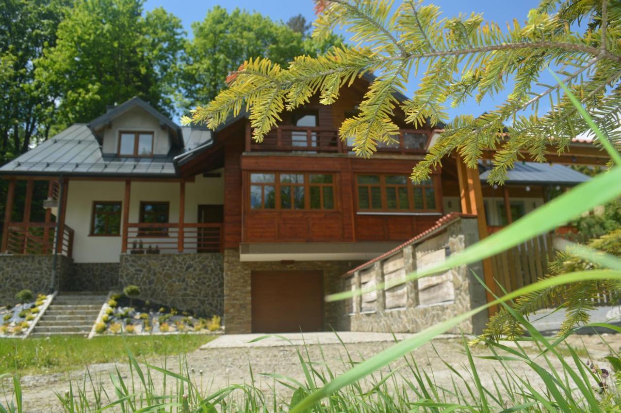 Domek Nad Kryniczanka Krynica-Zdrój Exterior foto